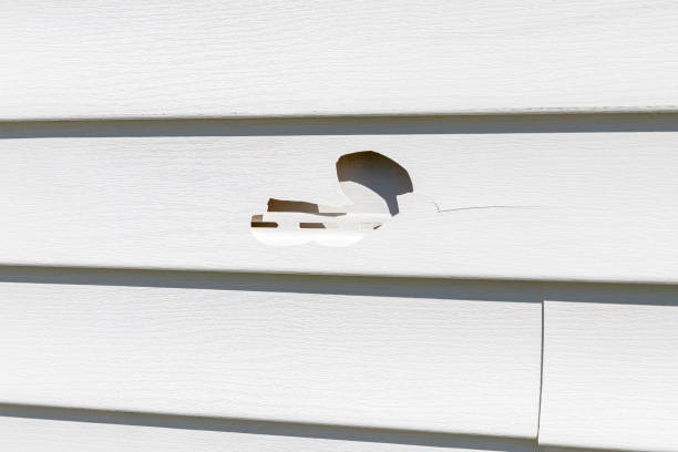 Best Siding Painting and Refinishing  in Simpson, PA